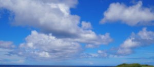 夏の終わり　商品入れ替えセール開催